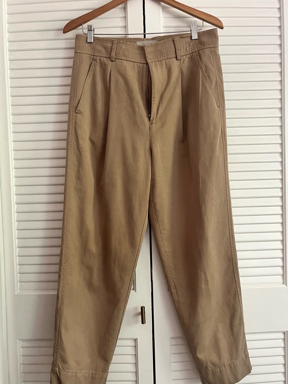 Everlane Pleated  Trousers